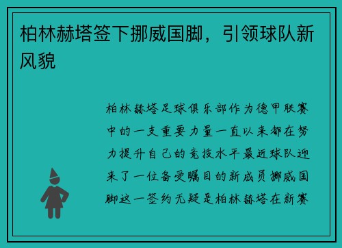 柏林赫塔签下挪威国脚，引领球队新风貌